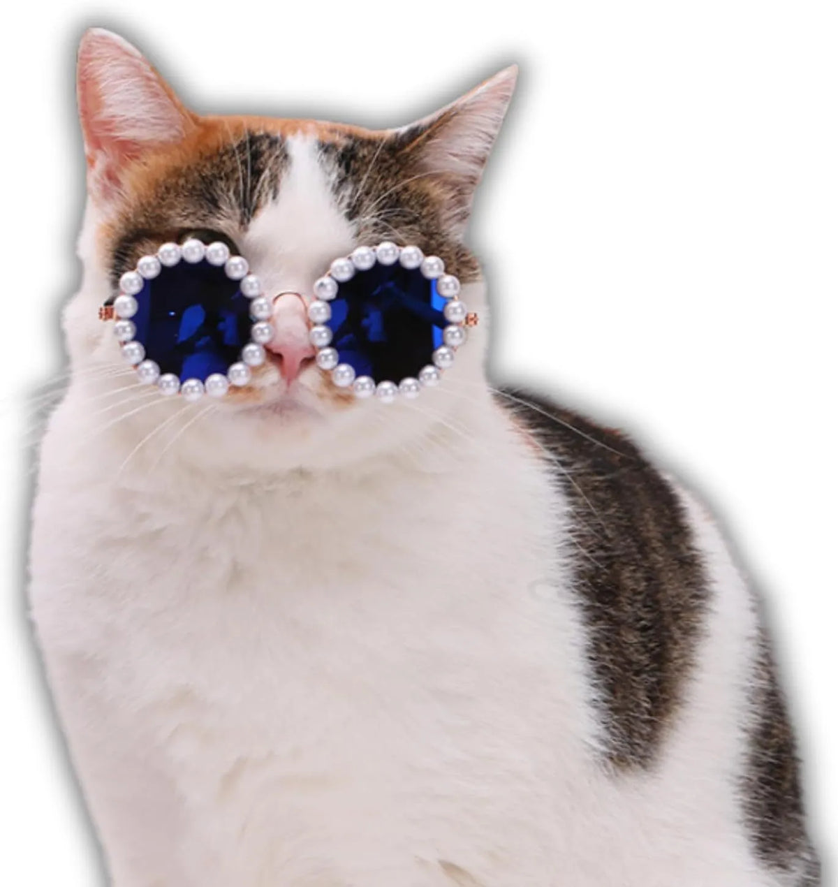 Pearl-rimmed round sunglasses for cats and dogs on a coloured background.