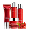 Pomegranate skincare set containing face wash, toner, lotion and facial cream in red packaging.
