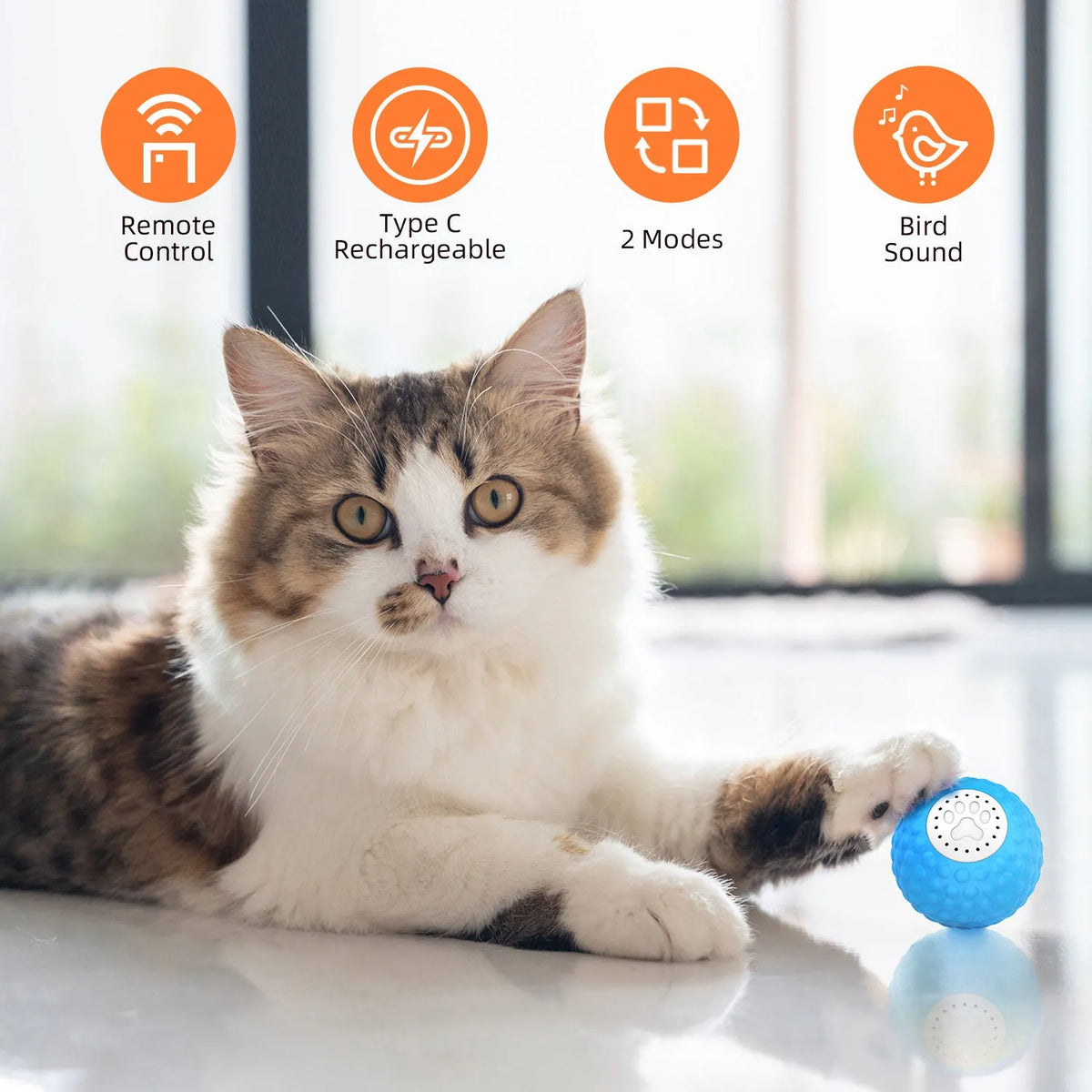 Remote control electronic cat toy with rolling ball, sound features and laser pointer on floor