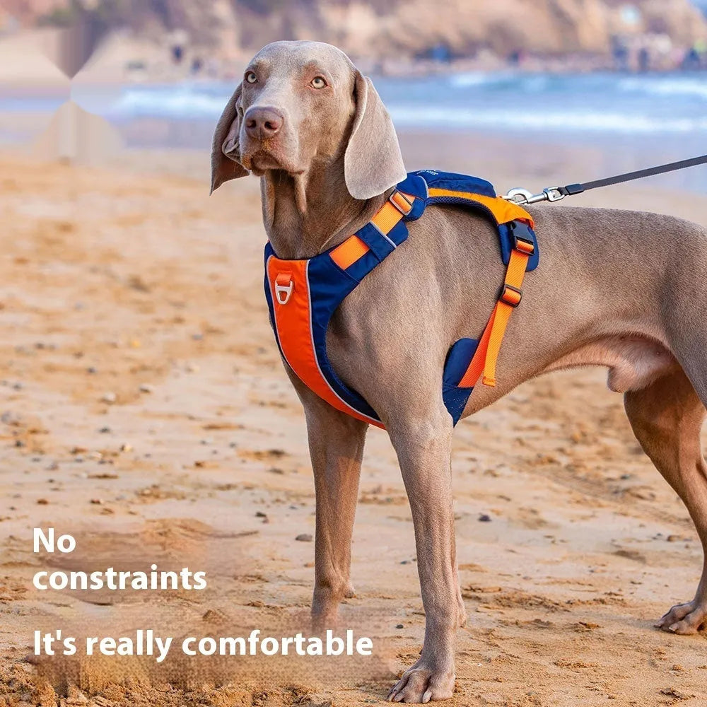 Orange blue nylon dog chest strap vest with single chest back design for secure walking control