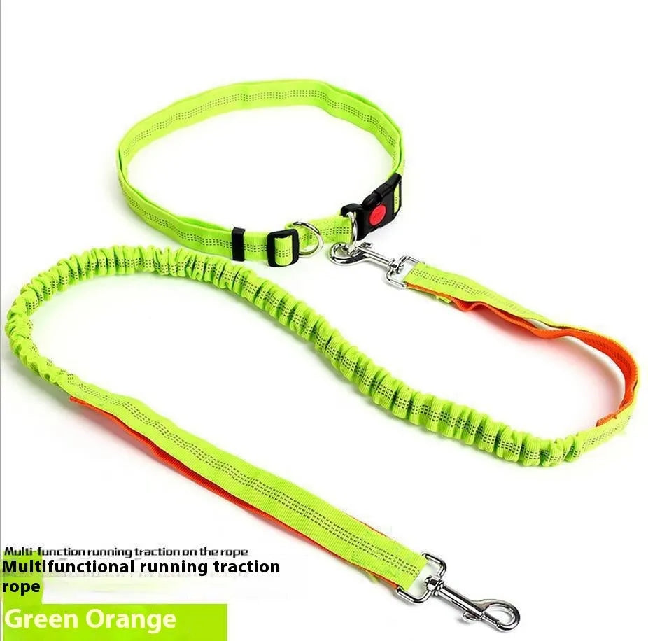 2.5cm wide nylon dog leash with reflective filament in multiple colour options