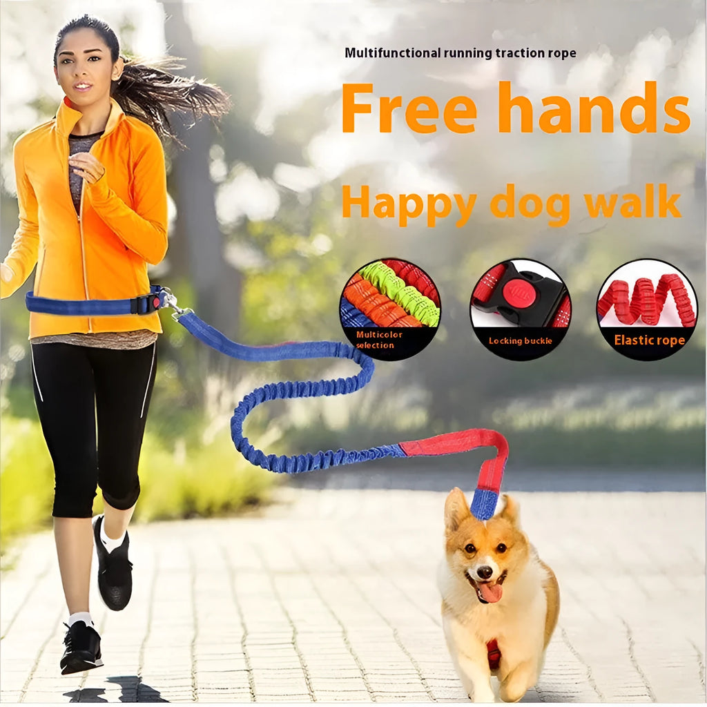 2.5cm wide nylon dog leash with reflective filament in multiple colour options