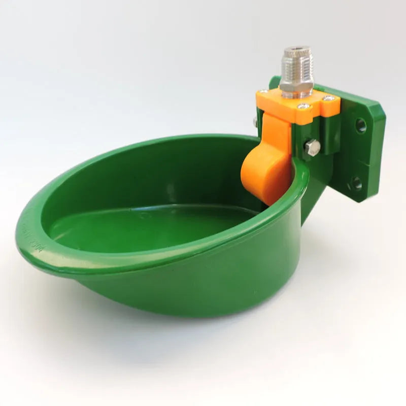 Green plastic drinking bowl for sheep livestock on farms