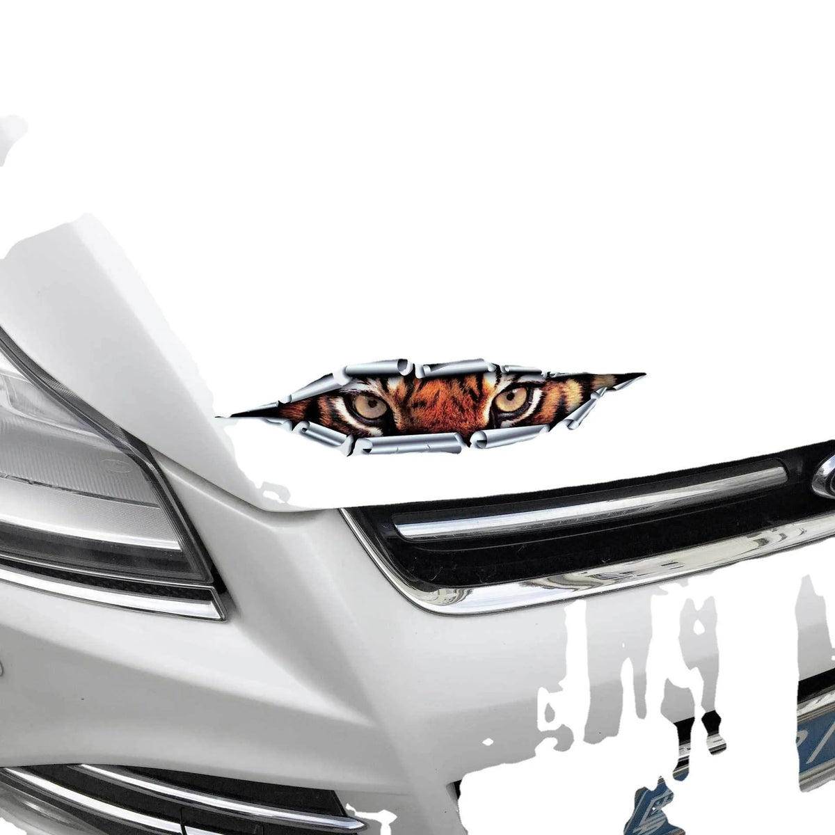 3D tiger eye and eagle eye design car door sticker on transparent PVC backing