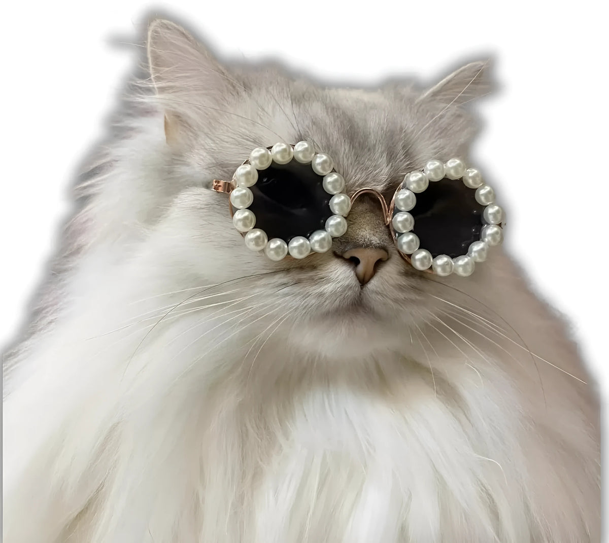 Pearl-rimmed round sunglasses for cats and dogs on a coloured background.