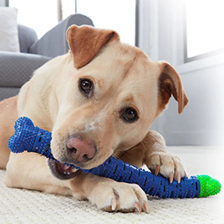Blue green dog dental cleaning toy with brush head and massage nodules, 25cm long