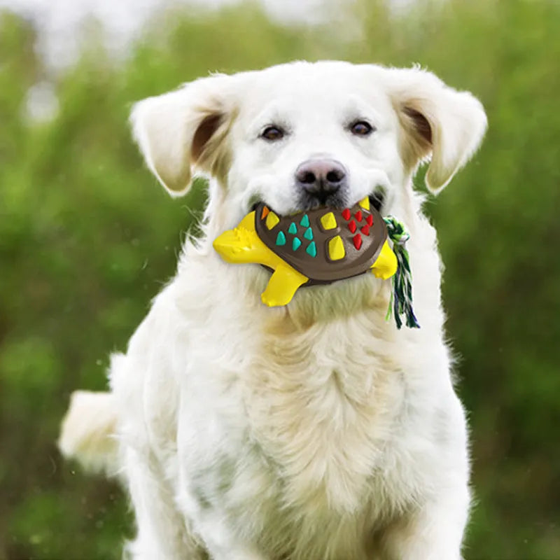 Natural rubber dog dental chew toy in assorted colours for plaque prevention and teeth cleaning.