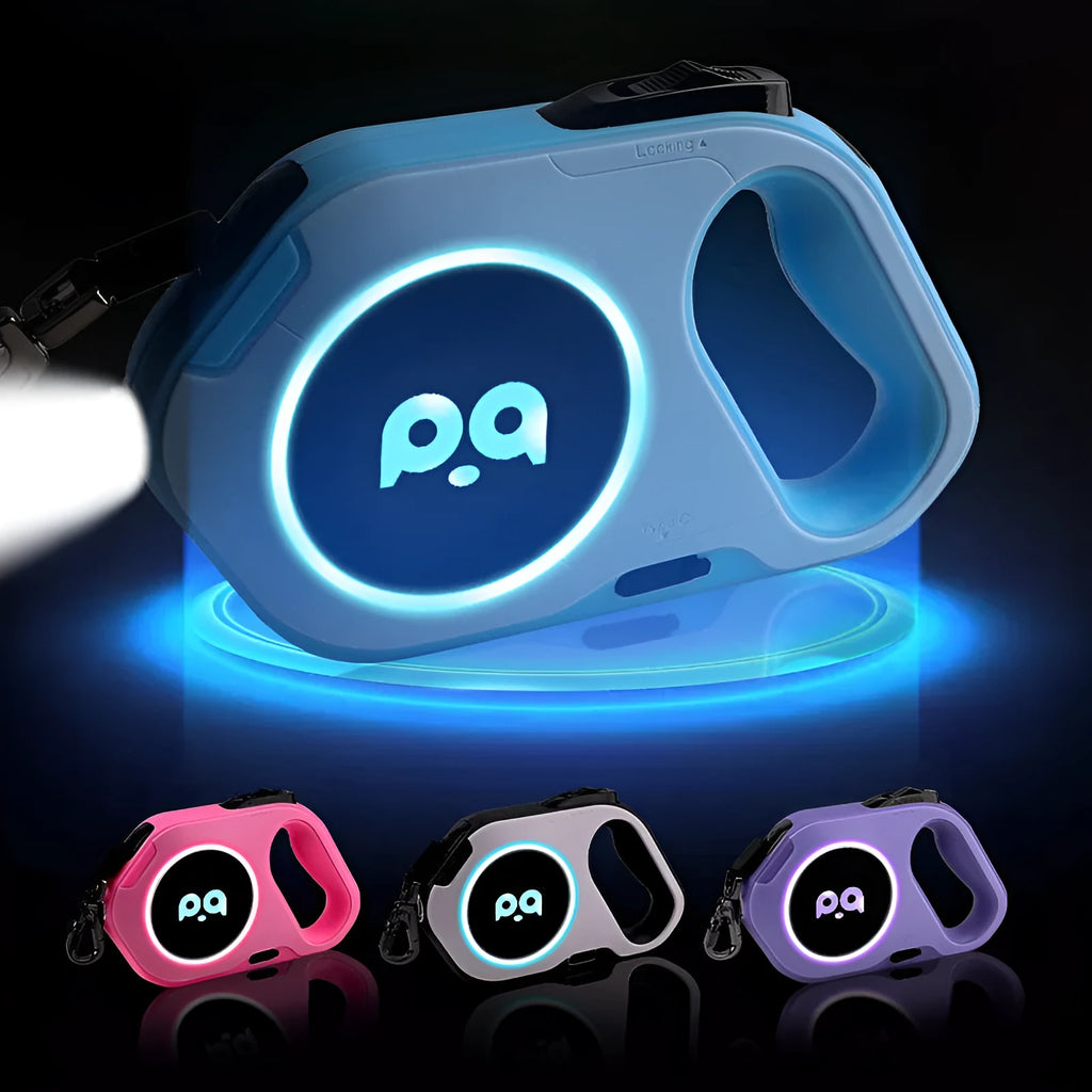 LED retractable dog lead 5 metre USB rechargeable outdoor leash in sky blue, cherry powder, high end purple or black and white