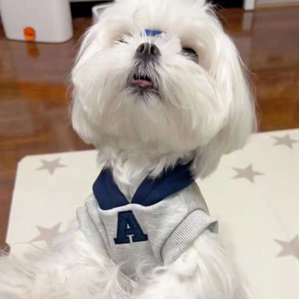 Blue and grey white pet hoodie with reflective lettering, slim-fitting design for cats and dogs