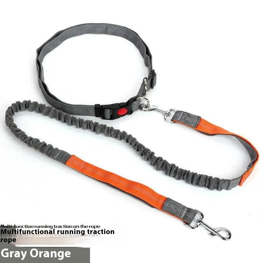 2.5cm wide nylon dog leash with reflective filament in multiple colour options