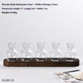 Wooden frame hydroponic vase decoration with transparent glass vases for indoor plants