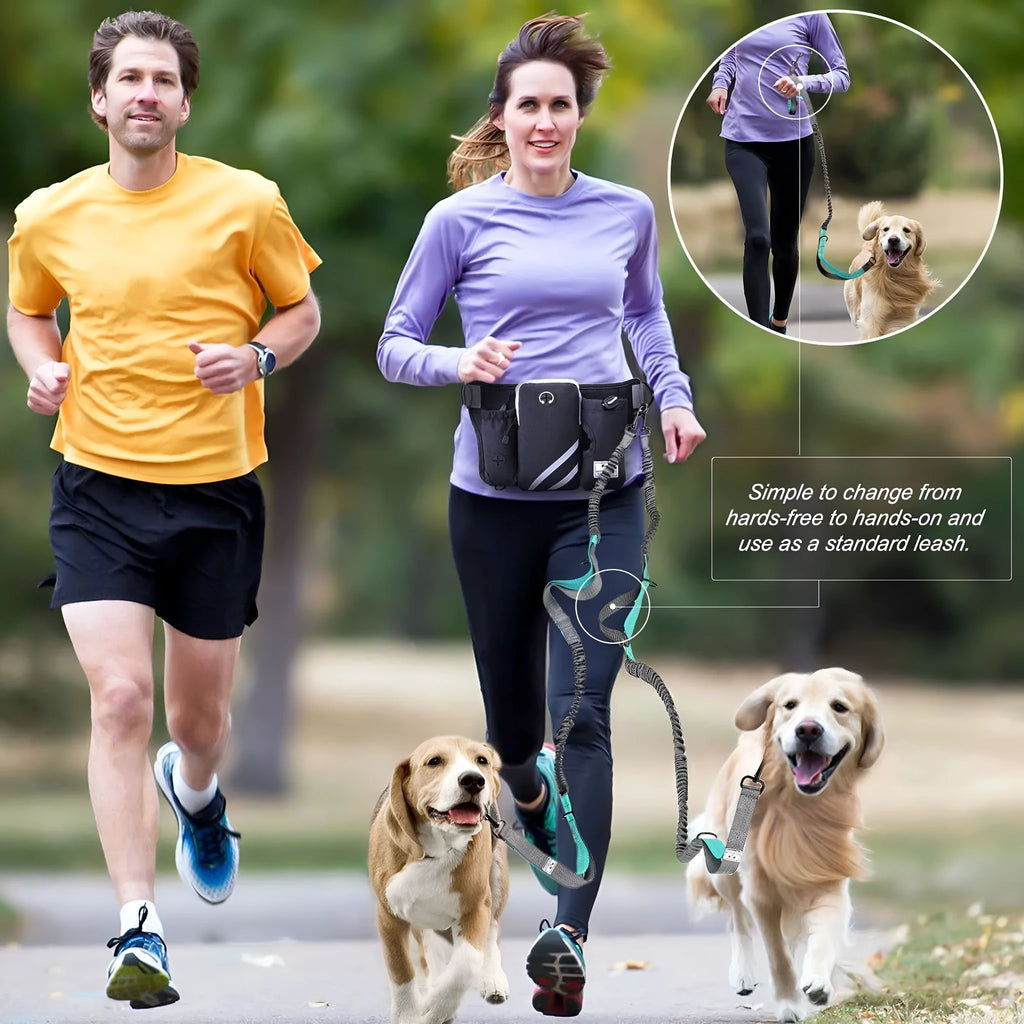 Black outdoor dog walking set with nylon waist bag and adjustable leash for pet training