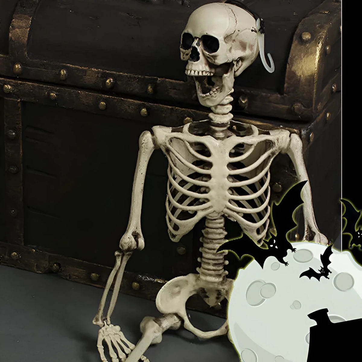 170cm tall plastic skeleton prop with detailed skull on white background