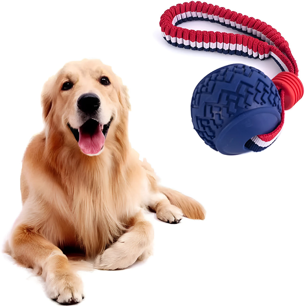 Blue natural rubber dog ball with integrated rope toy on grass, showing textured surface and scale.