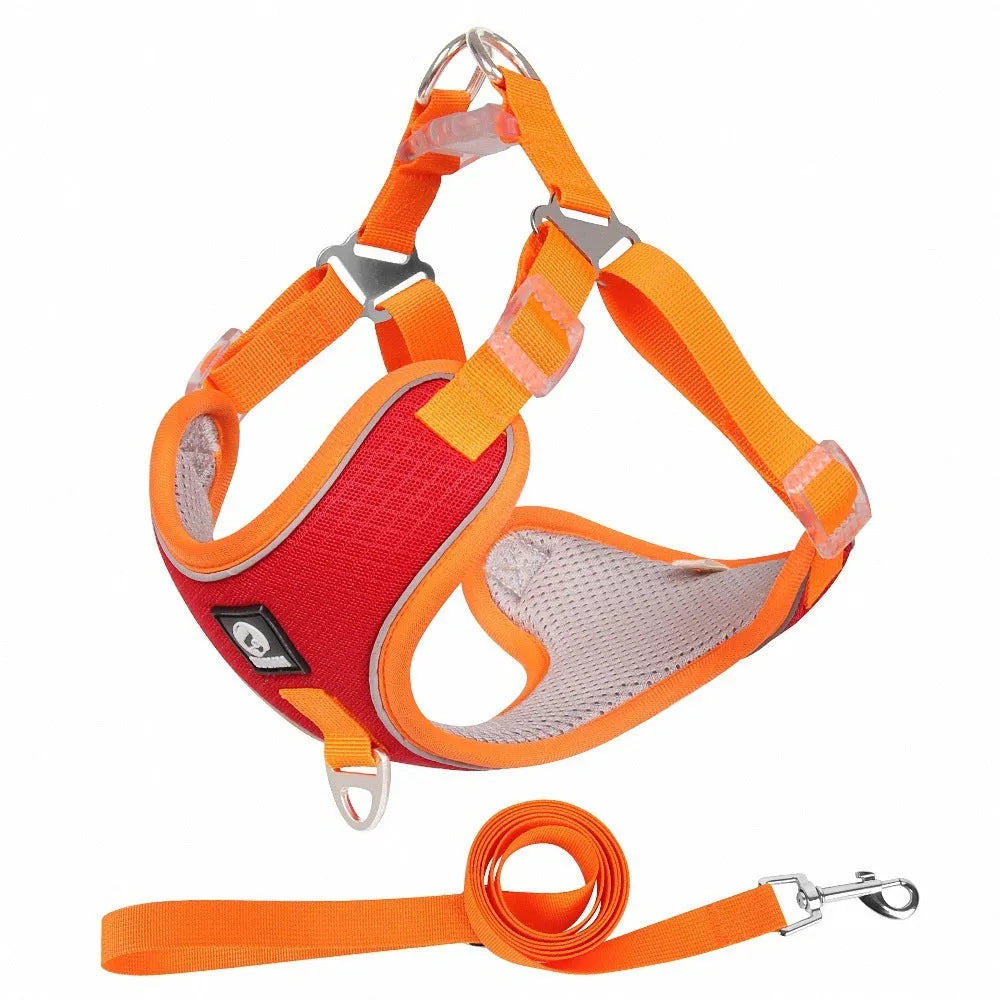 Adjustable dog harness with reflective piping and breathable mesh panels in multiple colour options