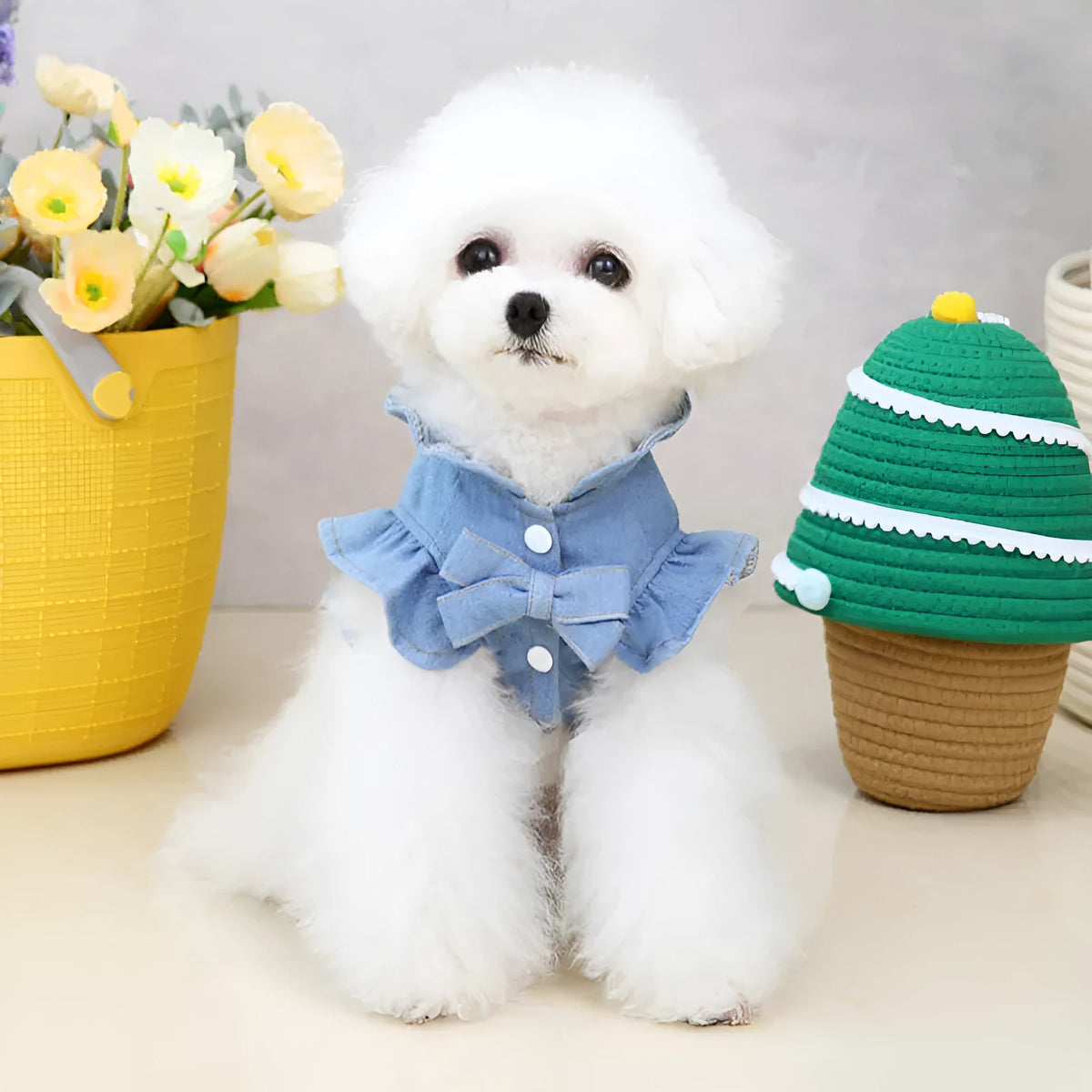 Blue denim pet dress with ruffled vest design for dogs and cats showing chest and back coverage