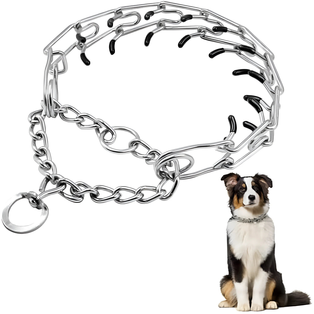 Stainless steel dog training pinch collar with comfort rubber tips, shown adjusted to fit a medium-sized dog's neck.