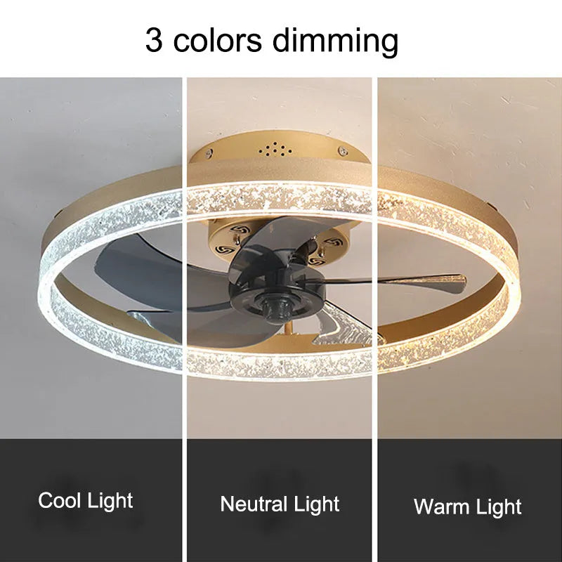 Nordic-style ceiling fan lamp with LED light and remote control in black finish