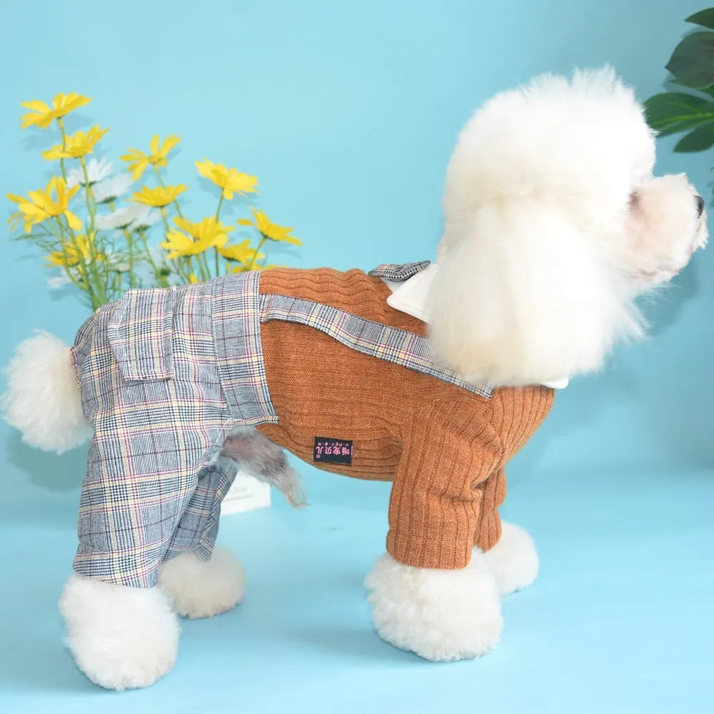 Small dog wearing dark blue cotton shirt with button front and collar