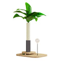 Wooden vertical cat scratching post with canna coloured grab column