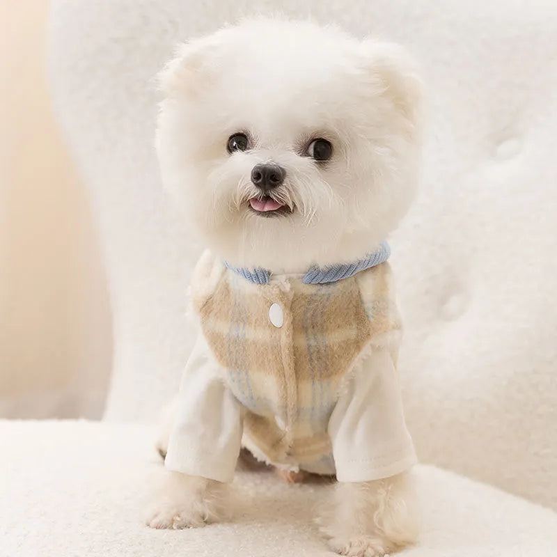 Blue corduroy dog hoodie with a chessboard grid pattern and a matching hood, shown on a small dog.
