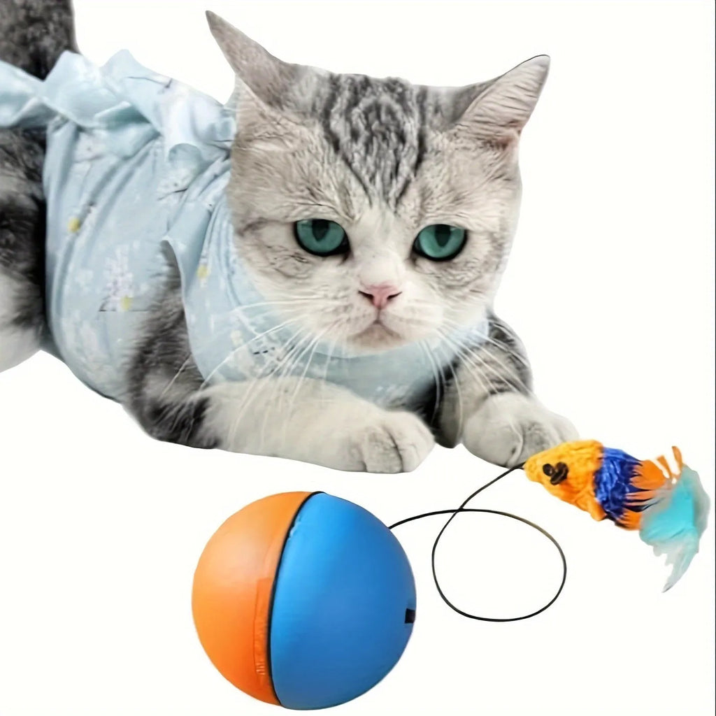 Interactive cat toy with plush mouse and exercise ball in blue and orange colours