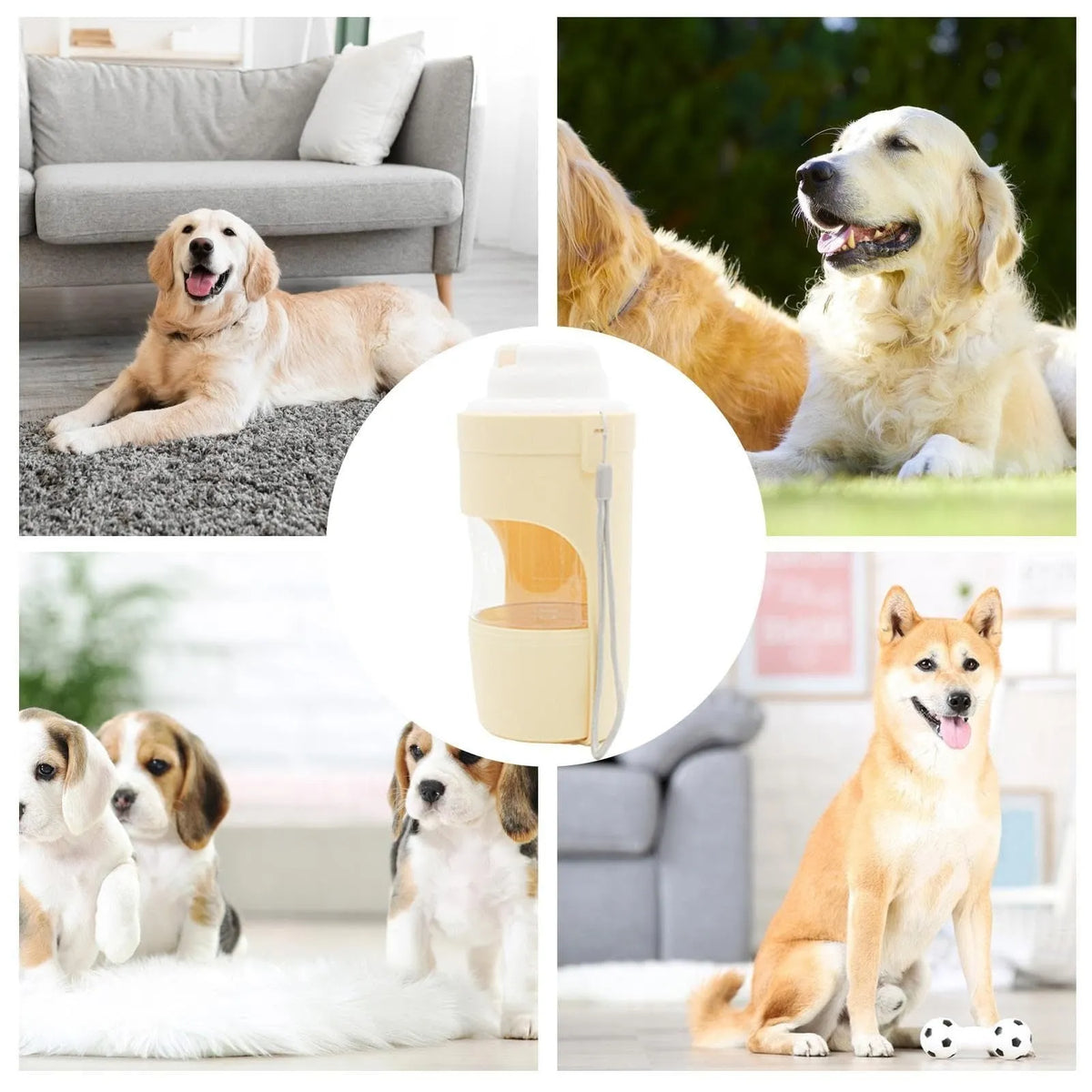 Grey 2-in-1 travel dog water bottle and food dispenser with lanyard attached, showing separate water and dry food compartments
