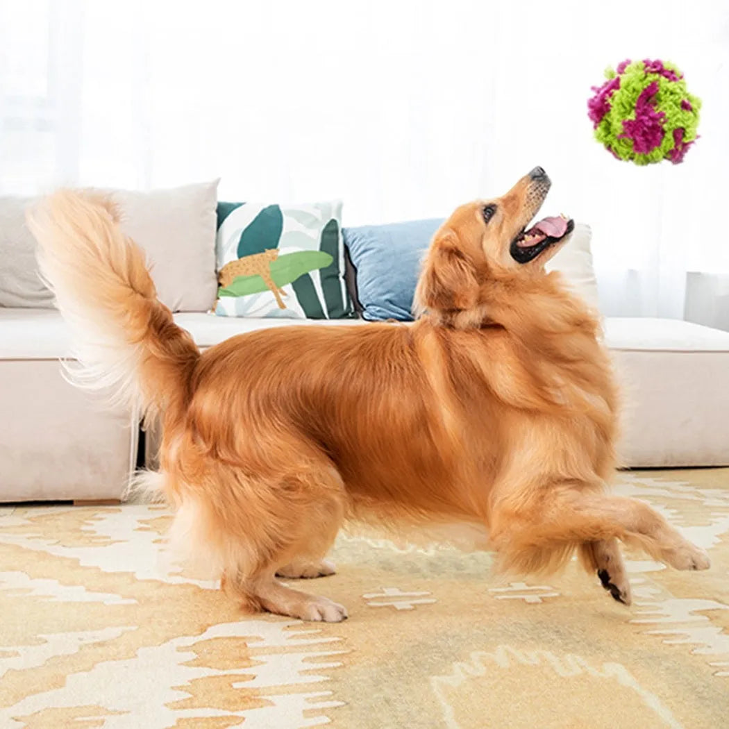 Purple plush dog ball with knotted seaweed texture measuring approximately 15cm diameter