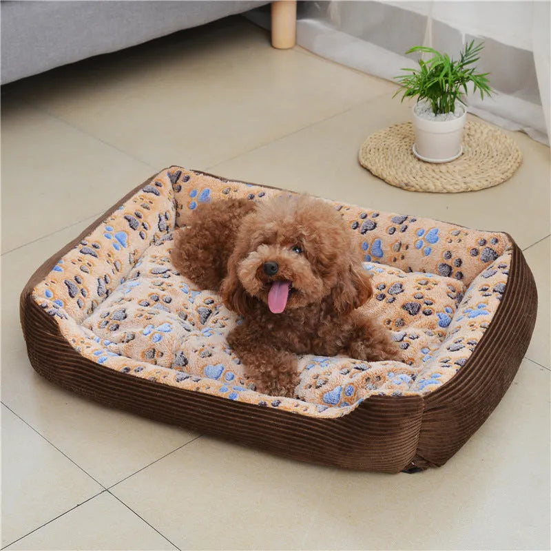 Beige plush dog bed with a raised bolster edge for a small dog.