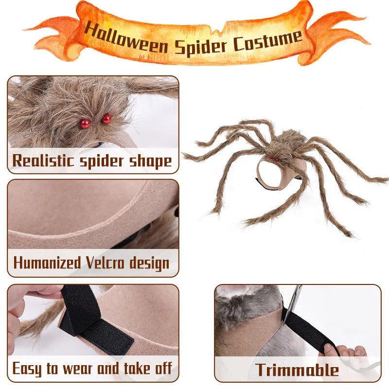 Halloween spider costume for pets in four colour options with size choices