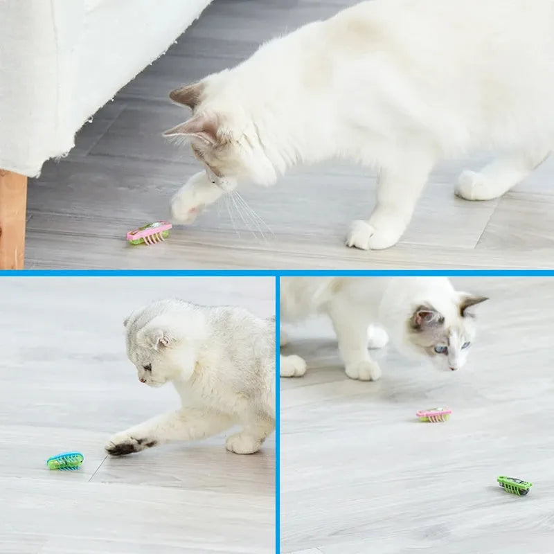 Mini electric ladybug cat toy crawling on surface with 12 angular legs visible