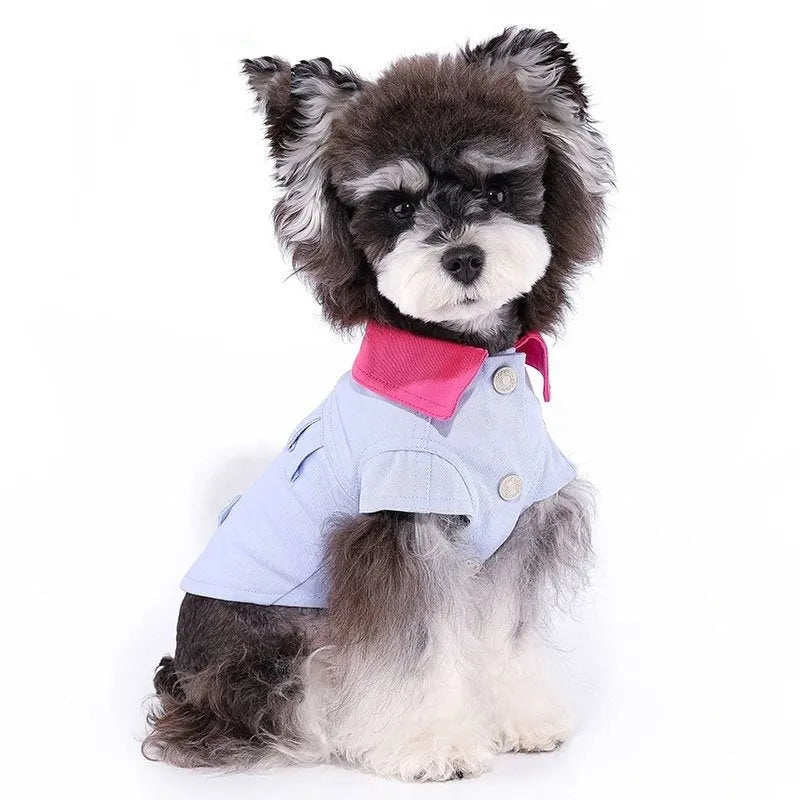 Blue and purple polyester dog harness vest with chest strap and back D-ring for small breeds.