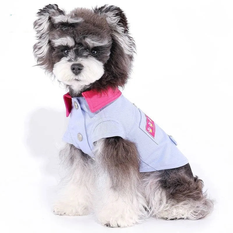 Blue and purple polyester dog harness vest with chest strap and back D-ring for small breeds.