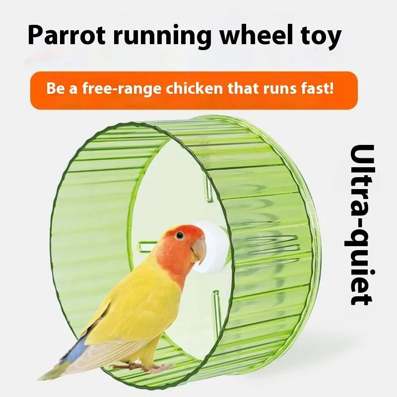 Plastic parrot running wheel toy in green colour showing 21cm diameter size