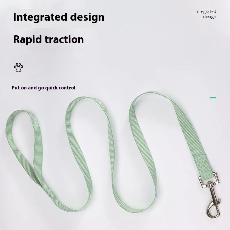 Blue polyester dog lead rope with a hand-holding loop, shown alongside other colour options including black, red, and grey.