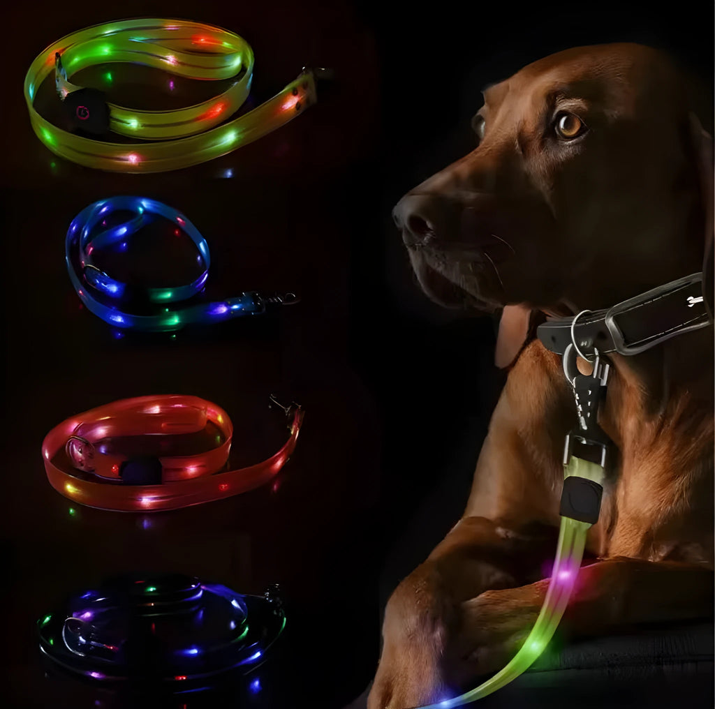 Colourful PVC dog leash and collar set shown in fluorescent green, with clip attachment.