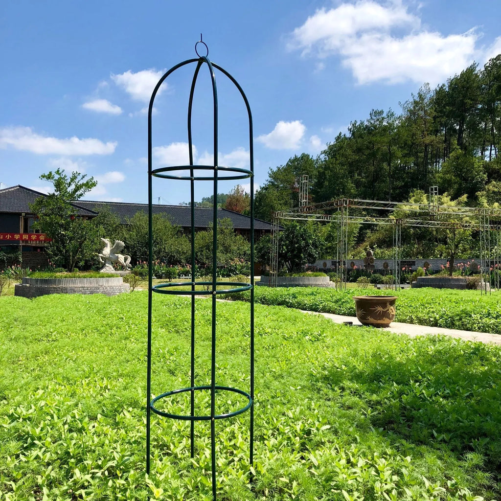 Dark green wrought iron plant climbing frame with lattice design for Liana vines
