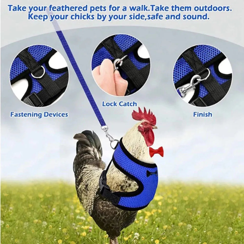 Poultry clothing set for chickens and ducks with vest, belt, collar, bow, and traction rope in multiple sizes