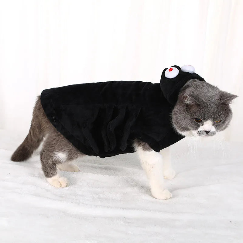 Dog wearing a black and white spider web print Halloween costume with elastic neck.
