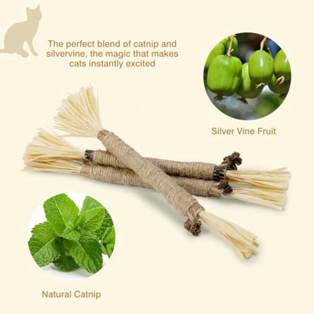 Three natural silvervine chew sticks for cats on a plain background, showing thick and fine diameter options.