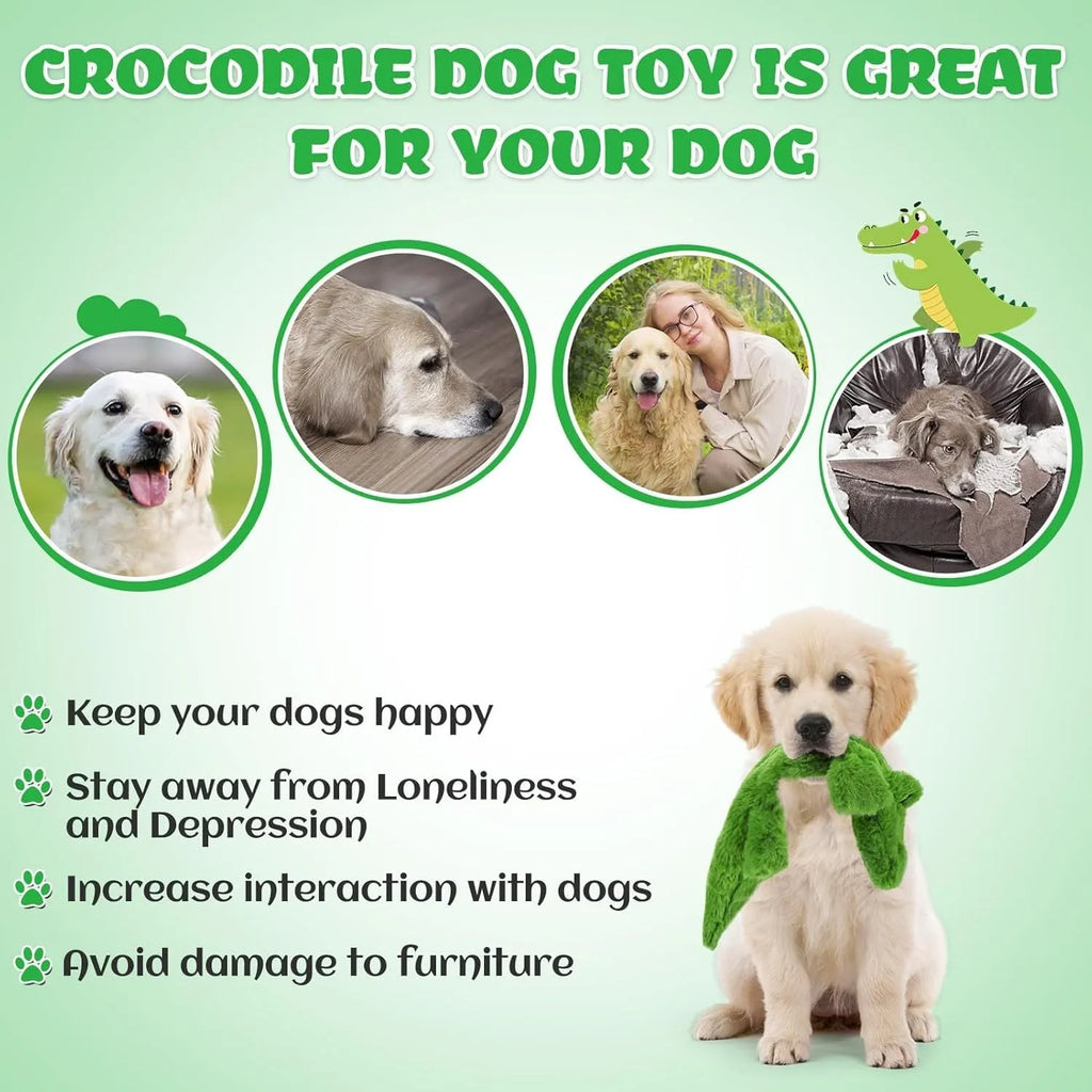 Green crocodile-shaped plush dog toy with no stuffing, for aggressive chewing.