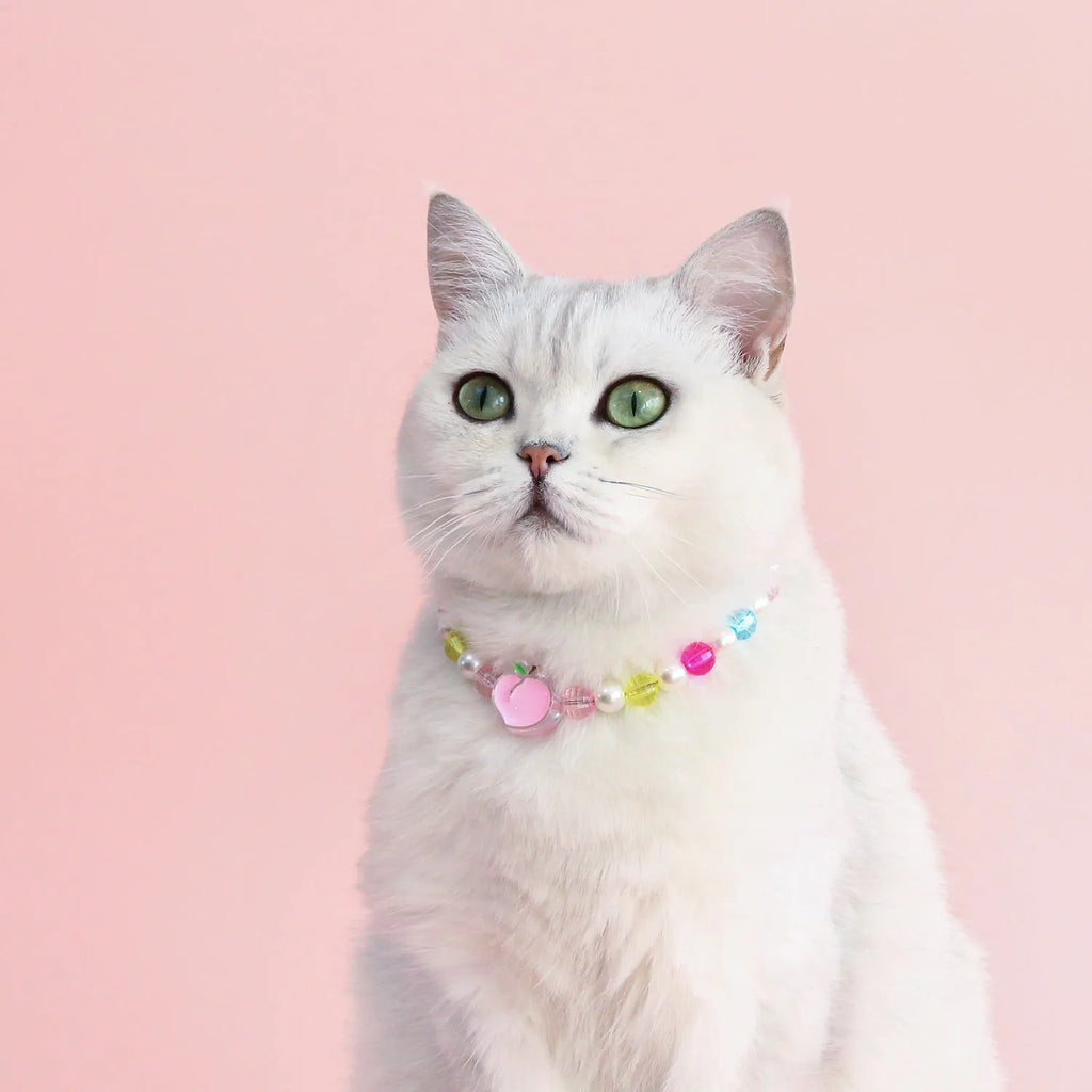 Colourful plastic bead cat necklace shown in peach, rainbow, or small flower pattern options with adjustable sizing